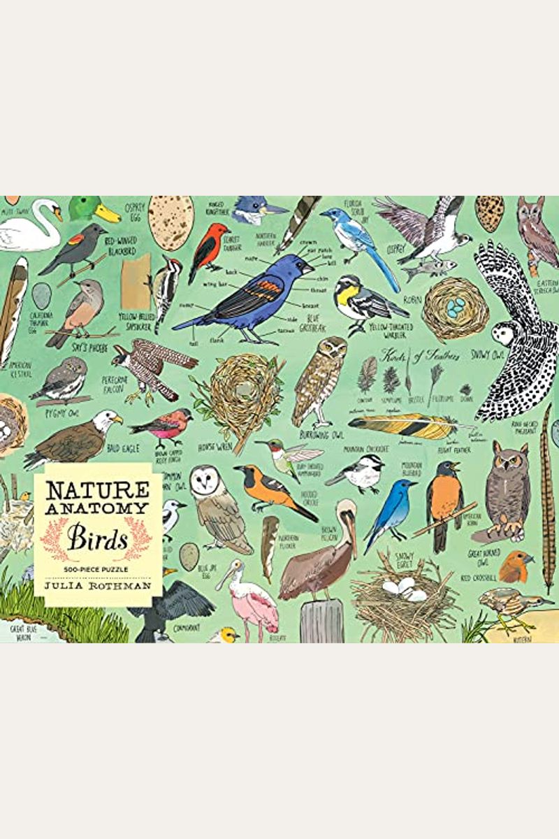 Nature Anatomy: Birds Puzzle (500 Pieces)