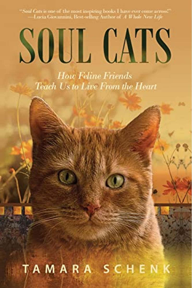 Soul Cats: How Our Feline Friends Teach Us To Live From The Heart