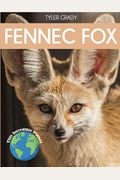 Fennec Fox: Fascinating Animal Facts For Kids