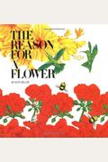 The Reason For A Flower