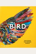 Bird: Exploring The Winged World