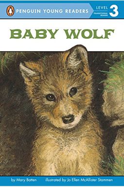 Baby Wolf Baby Wolf