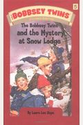 The Bobbsey Twins At Snow Lodge