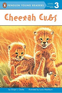 Cheetah Cubs