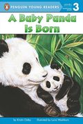 A Baby Panda Is Born (Penguin Young Readers, Level 3)