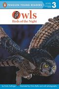 Owls: Birds Of The Night