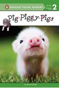Pig-Piggy-Pigs