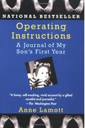 Operating Instructions: A Journal Of My Son's First Year