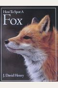 How To Spot A Fox