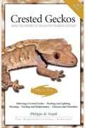 Crested Geckos: From The Experts At Advanced Vivarium Systems