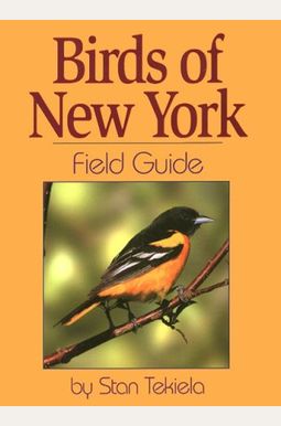 Birds Of New York Field Guide Birds Of New York Field Guide