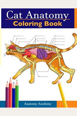 Cat Anatomy Coloring Book: Incredibly Detailed Self-Test Feline Anatomy Color Workbook Perfect Gift For Veterinary Students, Cat Lovers & Adults Cat Anatomy Coloring Book: Incredibly Detailed Self-Test Feline Anatomy Color Workbook Perfect Gift For Veterinary Students, Cat Lovers & Adults