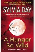A Hunger So Wild (Renegade Angels Trilogy)