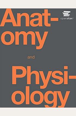 Anatomy And Physiology Anatomy And Physiology