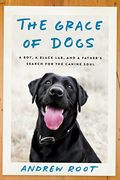 The Grace Of Dogs: A Boy, A Black Lab, And A Father's Search For The Canine Soul