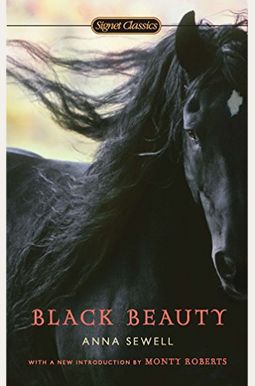 Black Beauty Black Beauty