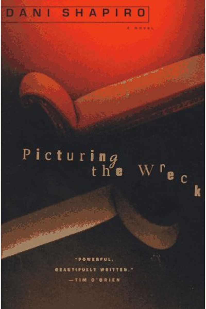 Picturing the Wreck