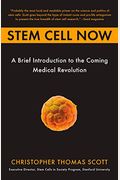 Stem Cell Now: From The Experiment That Shook The World To The New Politics Of Life