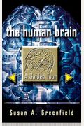 The Human Brain: A Guided Tour