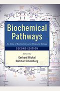 Biochemical Pathways 2e