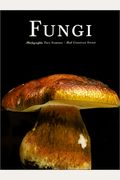 Fungi