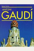 Antoni Gaudi (Big Series Art)