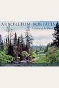 Arboretum Borealis: A Lifeline Of The Planet