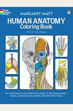 Human Anatomy Coloring Book Human Anatomy Coloring Book
