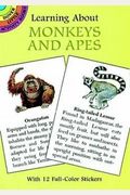 Learning about Monkeys and Apes