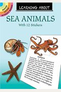 Learning about Sea Animals