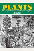 Plants: 2,400 Royalty-Free Illustrations Of Flowers, Trees, Fruits And Vegetables