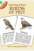 Learning about Birds of Prey [With 12 Full-Color]