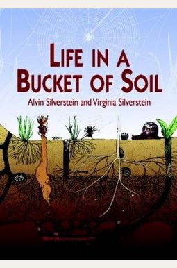 Life In A Bucket Of Soil Life In A Bucket Of Soil