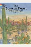 The Sonoran Desert By Day And Night Coloring Book