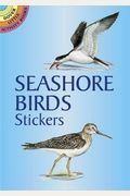 Seashore Birds Stickers (Dover Little Activity Books Stickers)