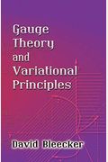 Gauge Theory and Variational Principles