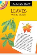 Learning About Leaves: With 12 Stickers