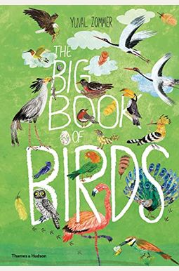 Big Book Of Birds Big Book Of Birds