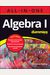 Algebra I All-In-One For Dummies