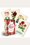 Oracle of the Roses: 44 Gilded-Edge Full-Color Cards and 144-Page Book