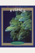Fishes (a True Book: Animals)