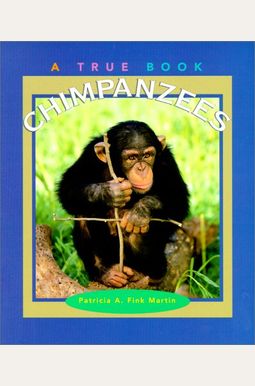 Chimpanzees Chimpanzees