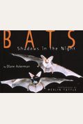 Bats - Shadows In The Night