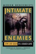 Intimate Enemies: Jews And Arabs In A Shared Land