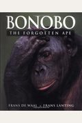 Bonobo: The Forgotten Ape