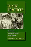Shady Practices, 5: Agroforestry And Gender Politics In The Gambia