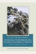 The Light And Smith Manual: Intertidal Invertebrates From Central California To Oregon