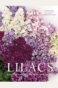 Lilacs: Beautiful Varieties For Home And Garden