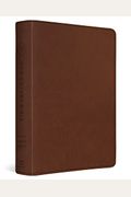 Esv Men's Study Bible (Trutone, Brown)