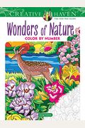 Creative Haven Wonders Of Nature Color By Number